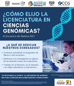 ¿A qué se dedican nuestros egresados?